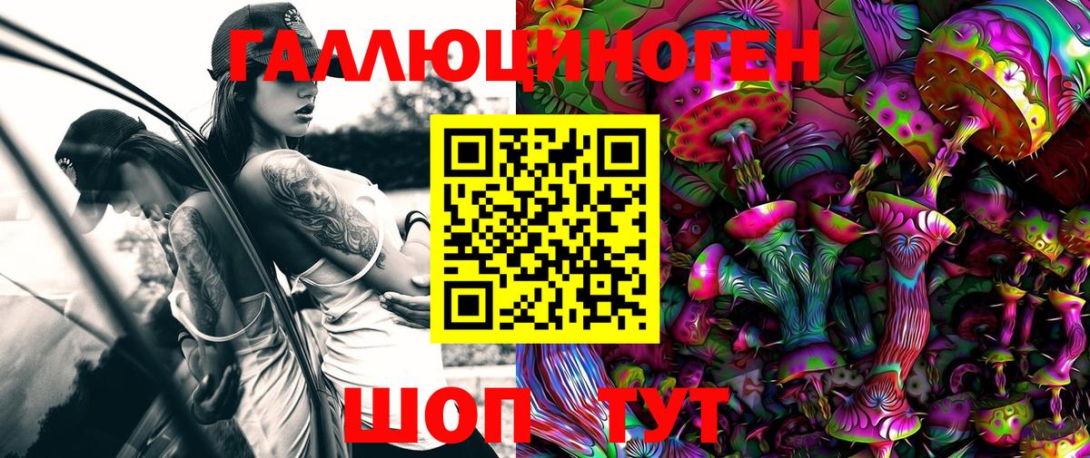 Галлюциногенные грибы Psilocybe Белебей